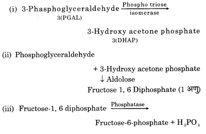 RBSE Solutions for Class 12 Biology Chapter 10 3Q.2.5
