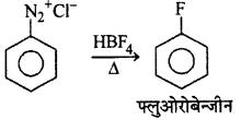 RBSE Solutions for Class 12 Chemistry Chapter 10 हैलोजेन व्युत्पन्न image 202