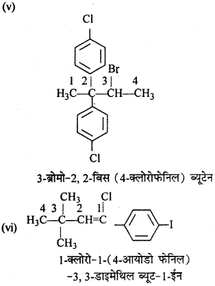 RBSE Solutions for Class 12 Chemistry Chapter 10 हैलोजेन व्युत्पन्न image 250