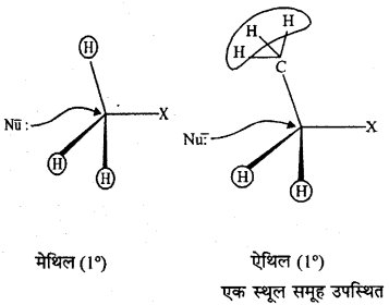 RBSE Solutions for Class 12 Chemistry Chapter 10 हैलोजेन व्युत्पन्न image 58