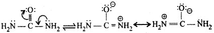 RBSE Solutions for Class 12 Chemistry Chapter 13 नाइट्रोजन युक्त क्रियात्मक समूह वाले कार्बनिक यौगिक image 23