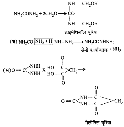RBSE Solutions for Class 12 Chemistry Chapter 13 नाइट्रोजन युक्त क्रियात्मक समूह वाले कार्बनिक यौगिक image 11