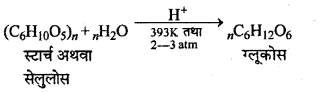 RBSE Solutions for Class 12 Chemistry Chapter 14 जैव-अणु image 2