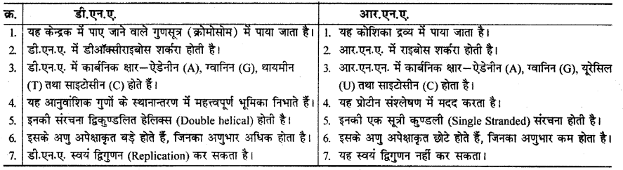 RBSE Solutions for Class 12 Chemistry Chapter 14 जैव-अणु image 3