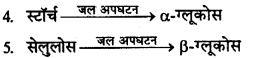 RBSE Solutions for Class 12 Chemistry Chapter 14 जैव-अणु image 9