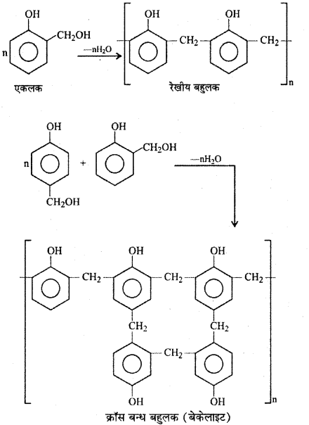 RBSE Solutions for Class 12 Chemistry Chapter 15 बहुलक image 28
