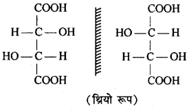 RBSE Solutions for Class 12 Chemistry Chapter 16 त्रिविम रसायन image 10