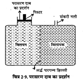 RBSE Solutions for Class 12 Chemistry Chapter 2 विलयन image 34