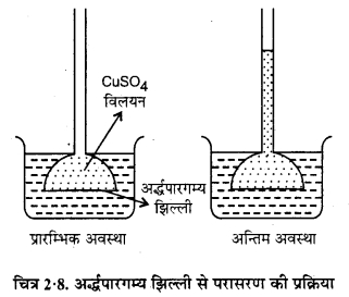 RBSE Solutions for Class 12 Chemistry Chapter 2 विलयन image 33