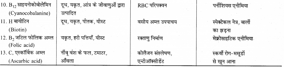 RBSE Solutions for Class 12 Biology Chapter 22 मानव का पाचन तंत्र 3