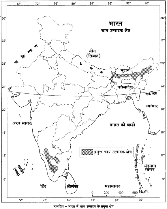 RBSE Solutions for Class 12 Geography Chapter 18 कृषि img-6