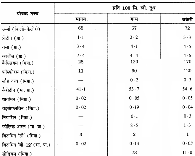 RBSE Solutions for Class 12 Home Science Chapter 11 शैशवावस्था में पोषणं - 10