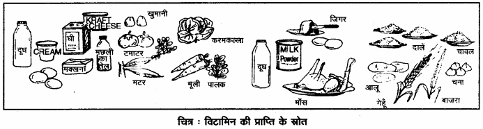 RBSE Solutions for Class 12 Home Science Chapter 16 विशिष्ट अवस्था में पोषण- गर्भावस्था - 3