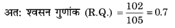 RBSE Solutions for Class 12 Biology Chapter 11 श्वसन 25