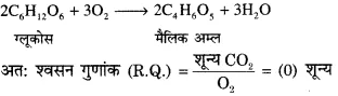 RBSE Solutions for Class 12 Biology Chapter 11 श्वसन 27