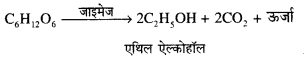 RBSE Solutions for Class 12 Biology Chapter 11 श्वसन 28