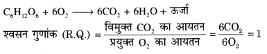 RBSE Solutions for Class 12 Biology Chapter 11 श्वसन 57