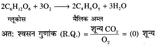 RBSE Solutions for Class 12 Biology Chapter 11 श्वसन 60