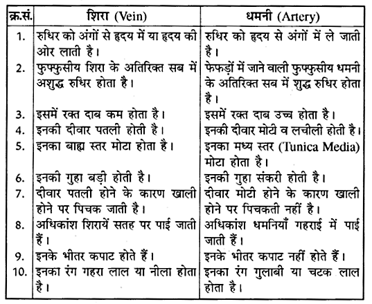 RBSE Solutions for Class 10 Science Chapter 2 मानव तंत्र image - 11